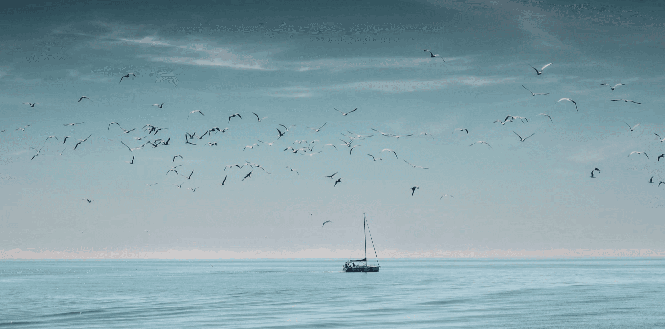 Ferg Flannery photography