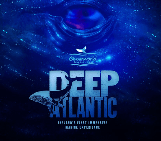 Dingle Oceanworld – image 1