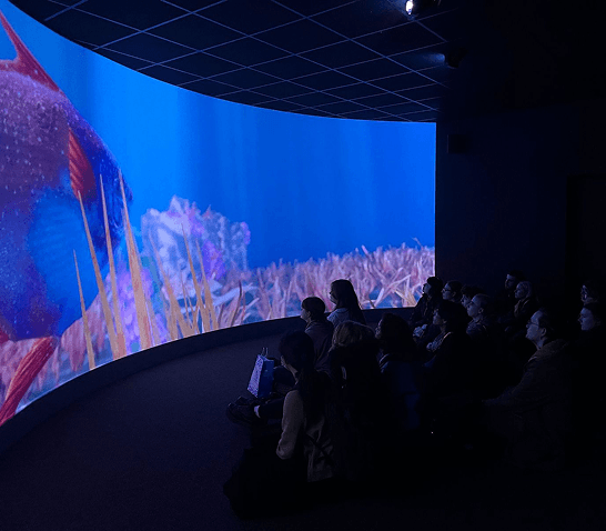 Dingle Oceanworld – image 2